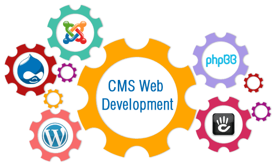 CMS Development